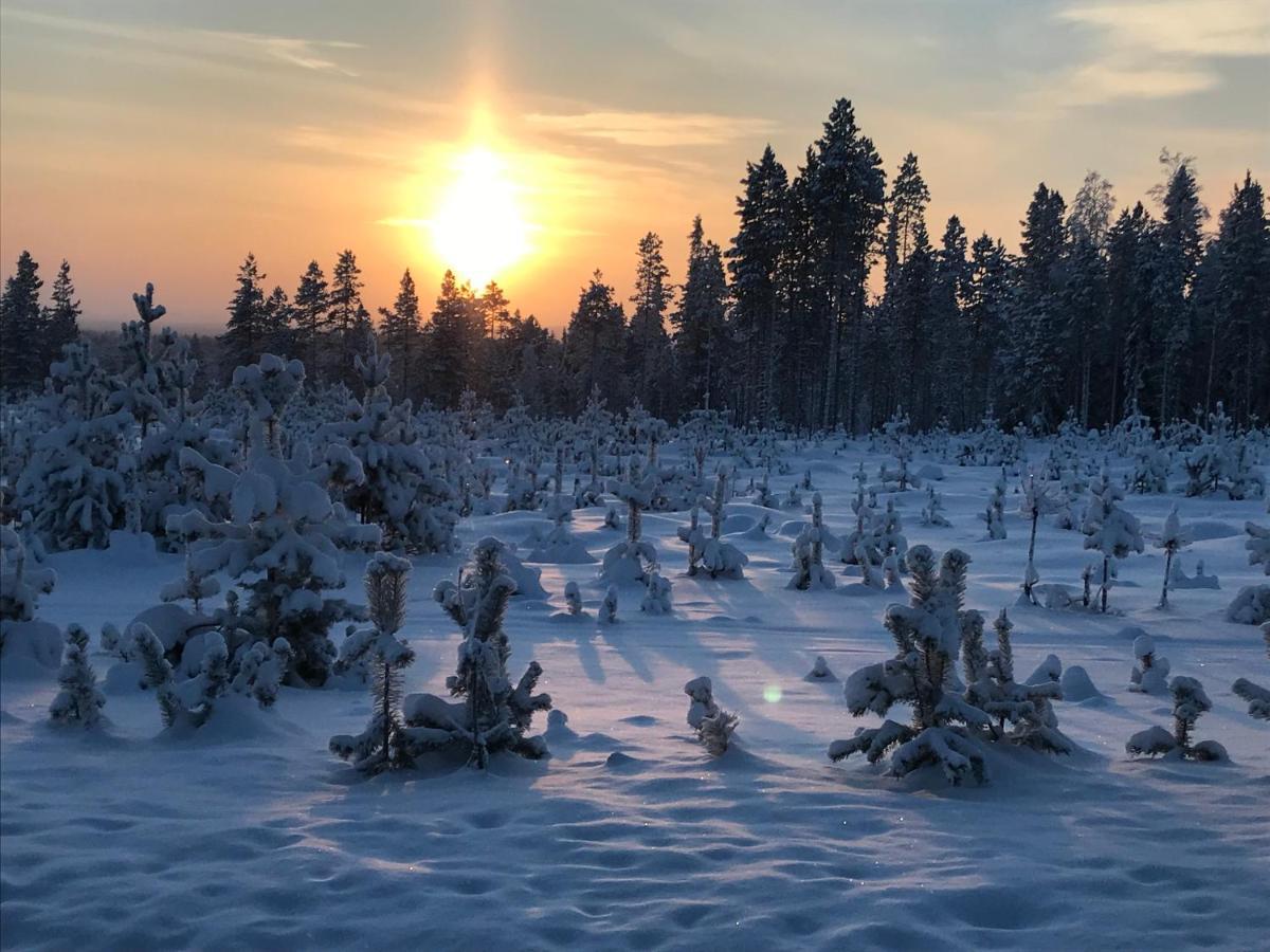 Апартаменти Soppela Retreat At The Arctic Circle Кеміярві Екстер'єр фото